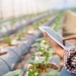 Investimentos em Agronegócio